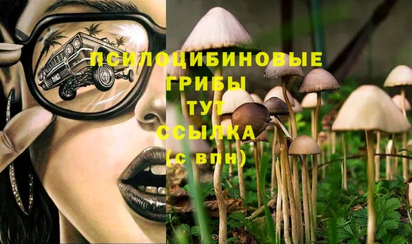каннабис Алзамай