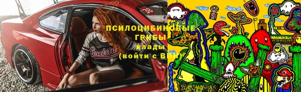 эйфоретик Алексин