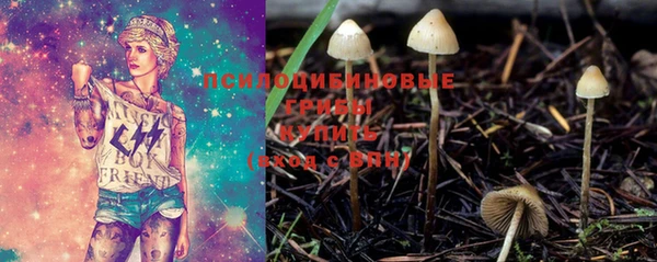 эйфоретик Алексин