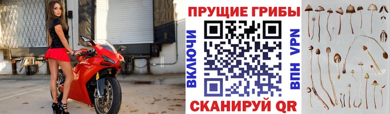 что такое наркотик  Поронайск  Галлюциногенные грибы прущие грибы 