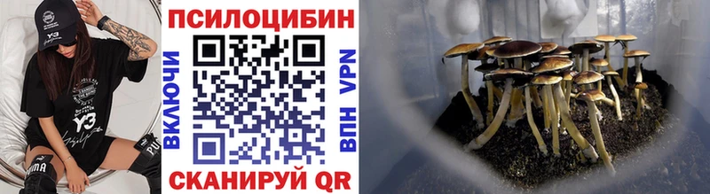 Псилоцибиновые грибы Cubensis Поронайск